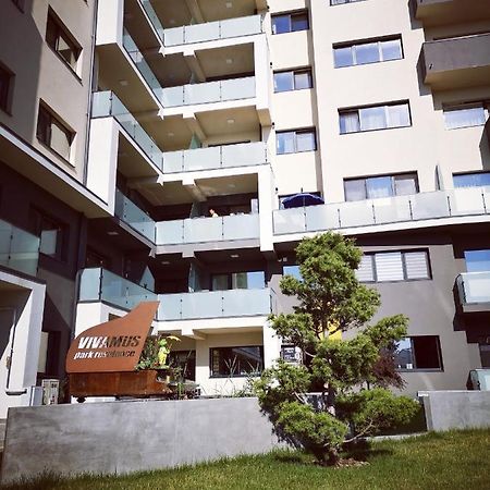 Vivamus Studio Brašov Exteriér fotografie