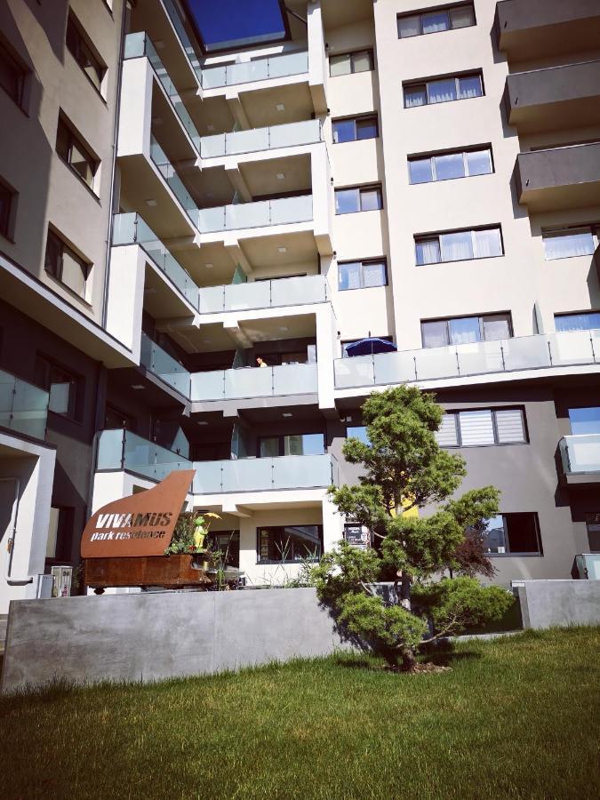 Vivamus Studio Brašov Exteriér fotografie