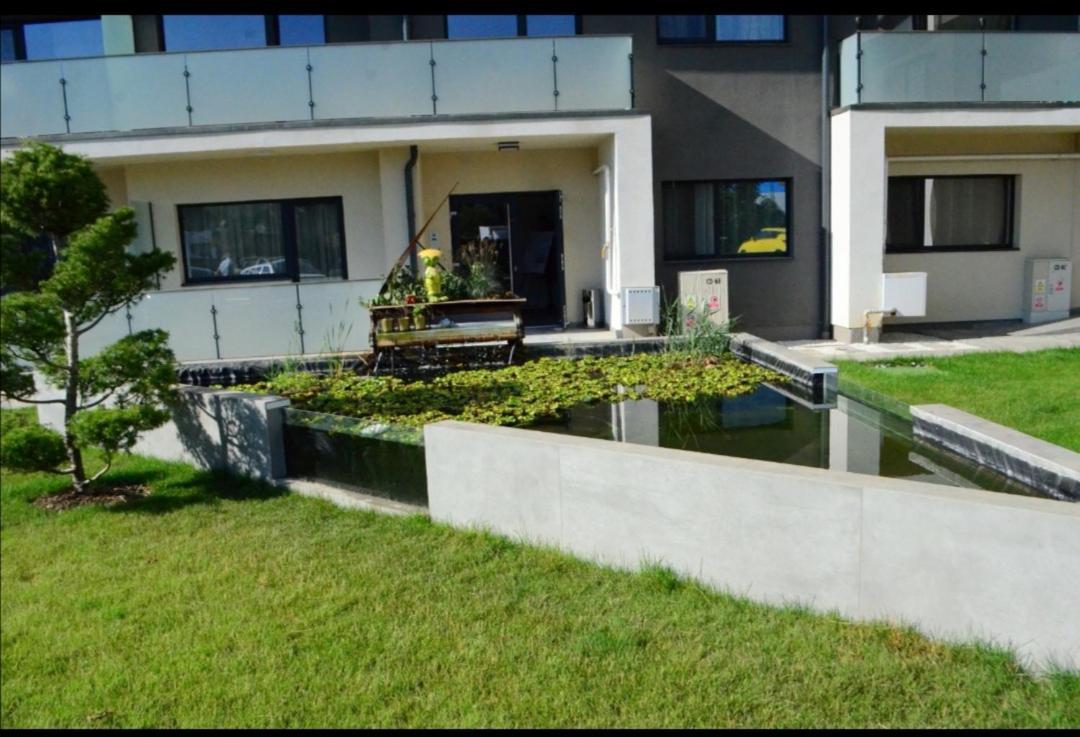 Vivamus Studio Brašov Exteriér fotografie