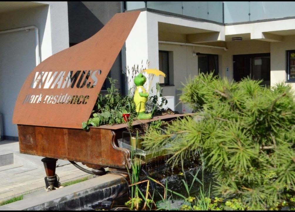 Vivamus Studio Brašov Exteriér fotografie
