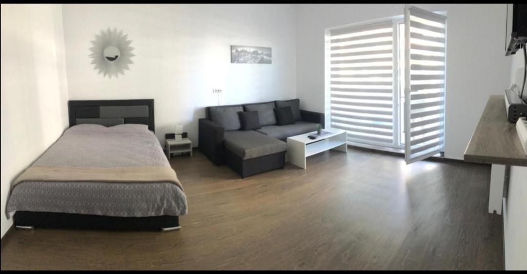 Vivamus Studio Brašov Exteriér fotografie